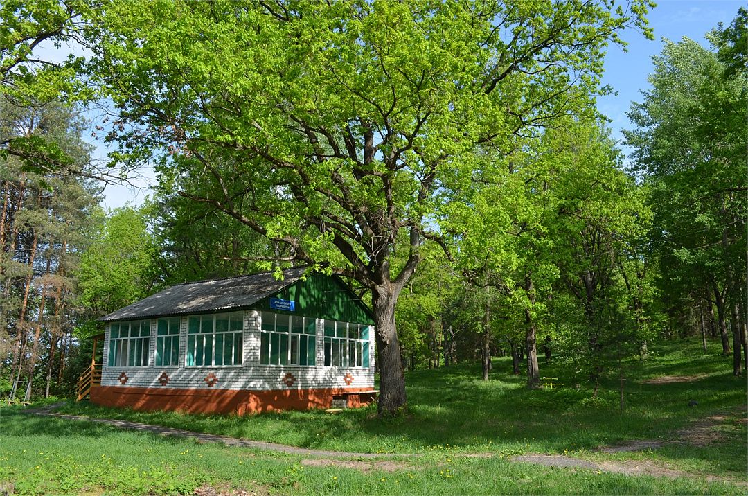 Кипячий ключ, Нижегородская область: фото 2