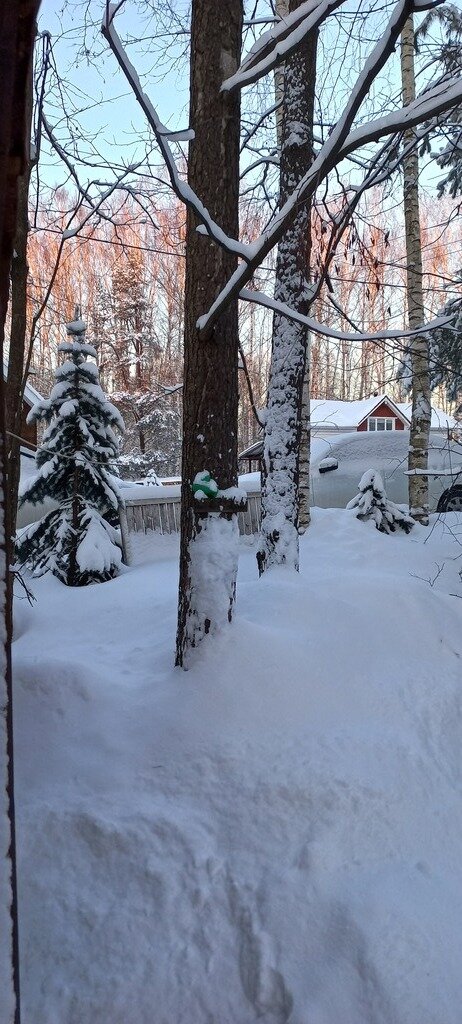 Фото из отзыва от 31.12.2023