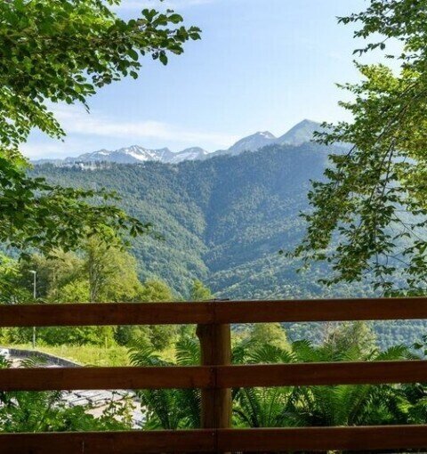 Вид с Шале, лето | Big Family Chalet With Jacuzzi, Краснодарский край