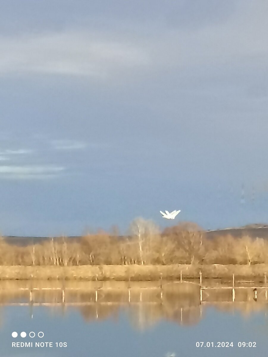 Фото 11 из отзыва о базе отдыха Приозерье