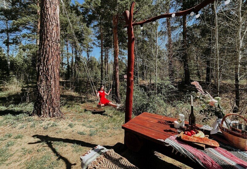 Территория | Воздух леса, Курганская область