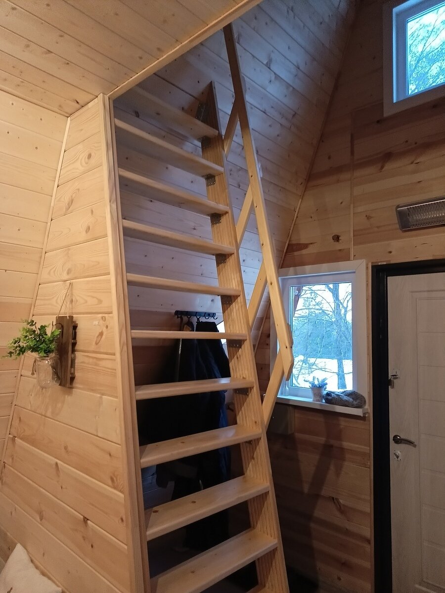 Фото 6 из отзыва о гостевом доме Домик Лесника