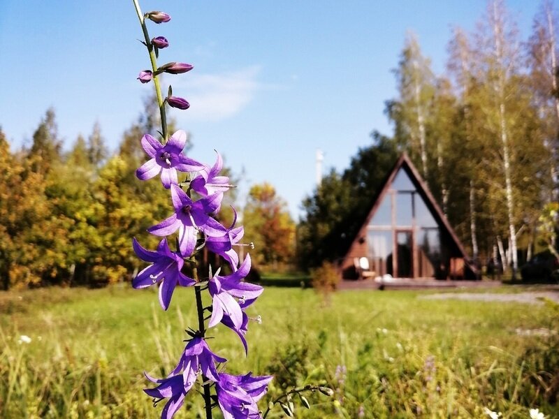 Мультиферма, Липецкая область: фото 3