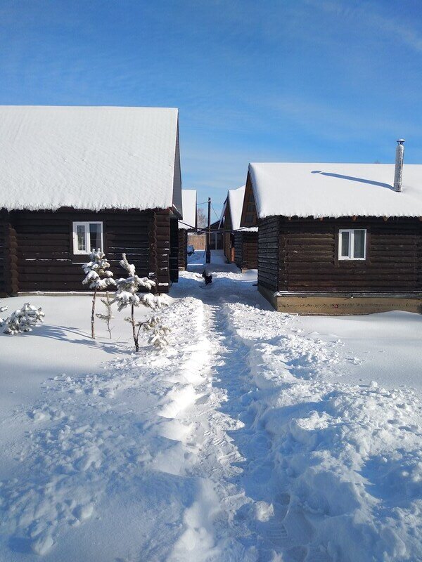 Медная сова, Алтайский край: фото 2