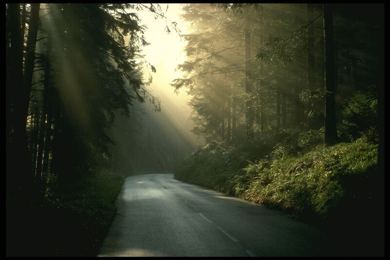 Территория | Лесное, Нижегородская область
