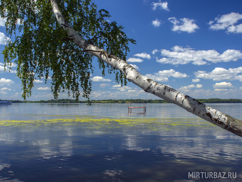 Перепелиный остров, Ярославская область: фото 4