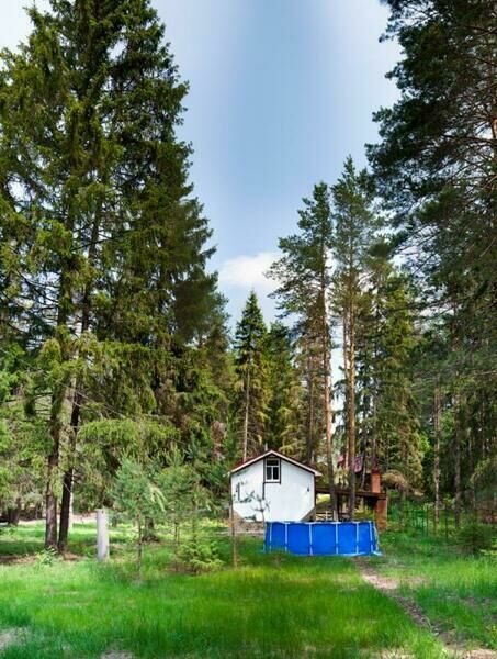 Территория | Хуторок, Нижегородская область