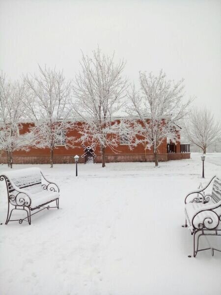 Высокий берег, Астраханская область: фото 4