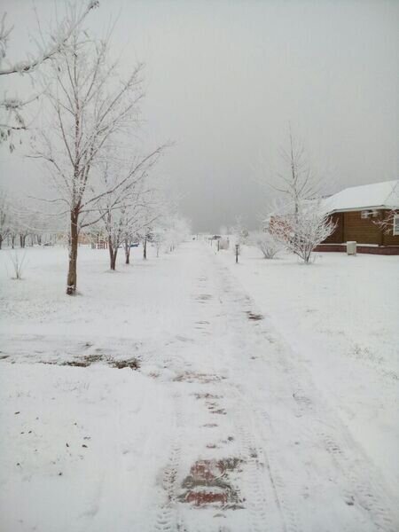 Высокий берег, Астраханская область: фото 5