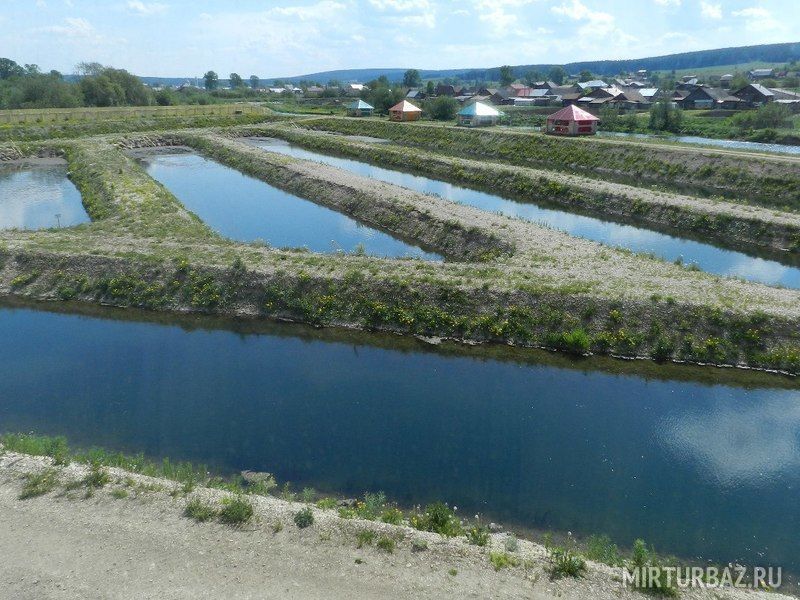 Брёховский луг, Пермский край: фото 3
