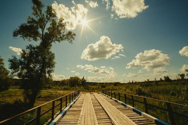 Галдым, Тамбовская область: фото 5