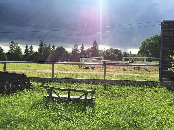 Усадьба Кузнецово (Эко-ферма на Новой Риге), Московская область: фото 4