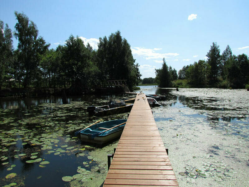 Территория | Щукино, Нижегородская область