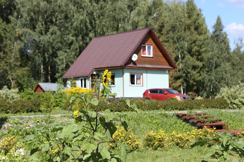 Конно-туристическая база Ольгино, Волоколамский, Московская область