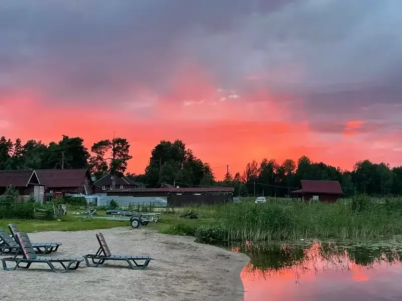 Плотвичкина заводь, Ленинградская область: фото 4