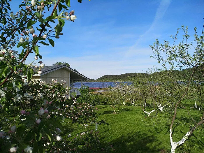 Lintu, Республика Карелия: фото 4