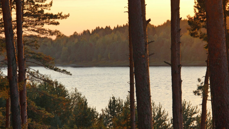 Хуторок, Вологодская область: фото 5