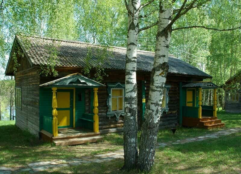 Дом № 6 | Подсолнухи, Нижегородская область