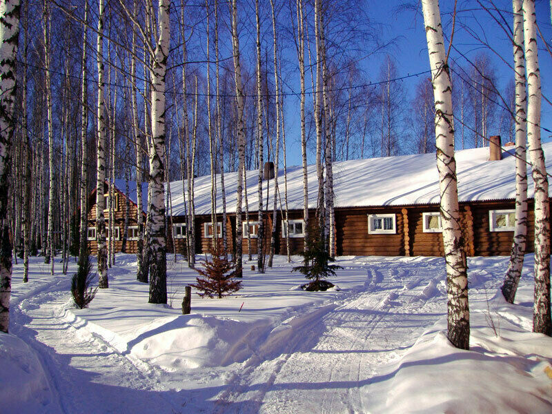 База отдыха Кедр, Нижегородская область, Лысковский 