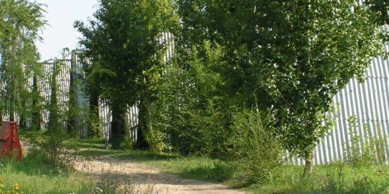 Волга, Саратовская область: фото 4