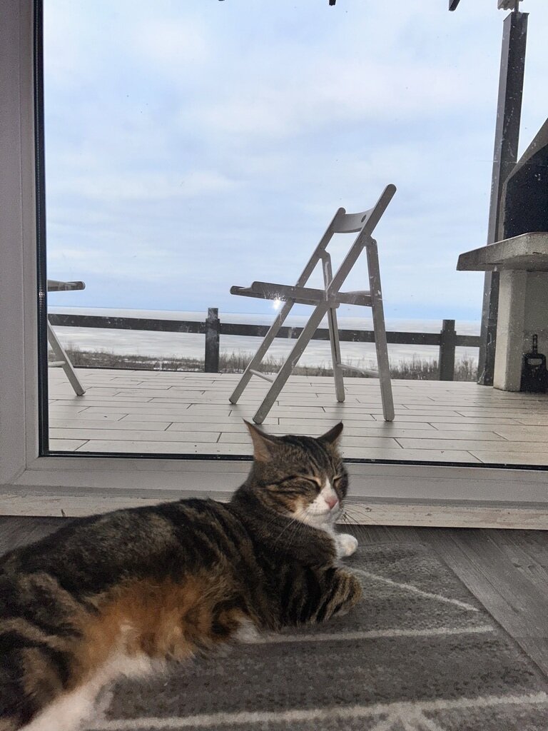 Фото из отзыва от 02.03.2024