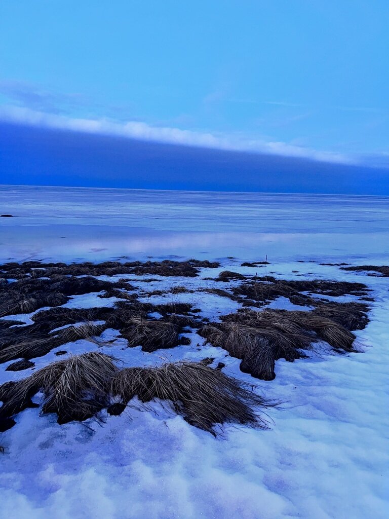 Фото из отзыва от 02.03.2024