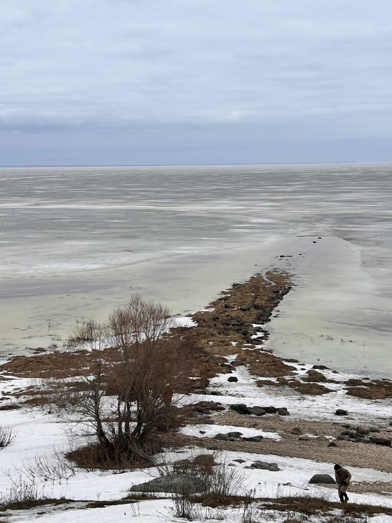 Фото из отзыва от 02.03.2024