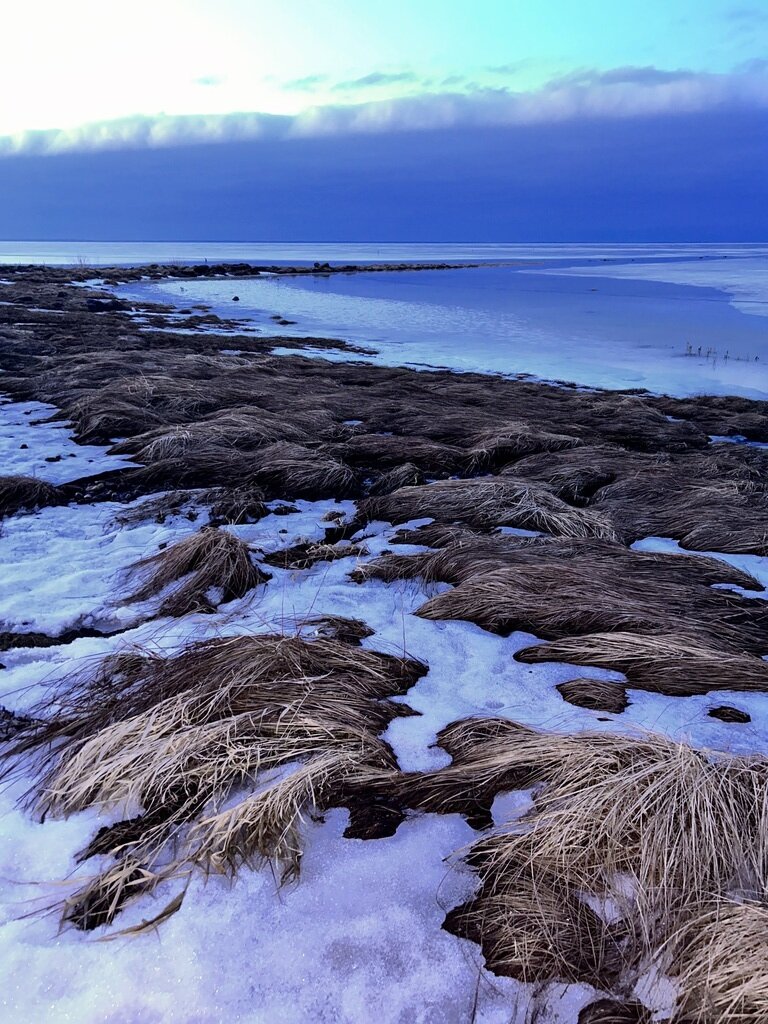 Фото из отзыва от 02.03.2024