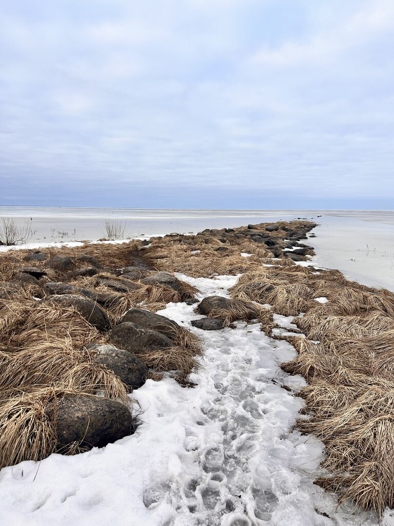 Фото из отзыва от 02.03.2024