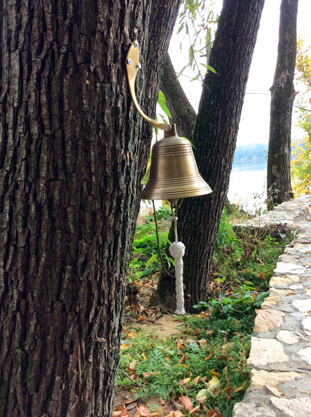 Мастер, Московская область: фото 5