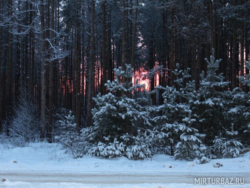 Бальтазар, Рязанская область: фото 3