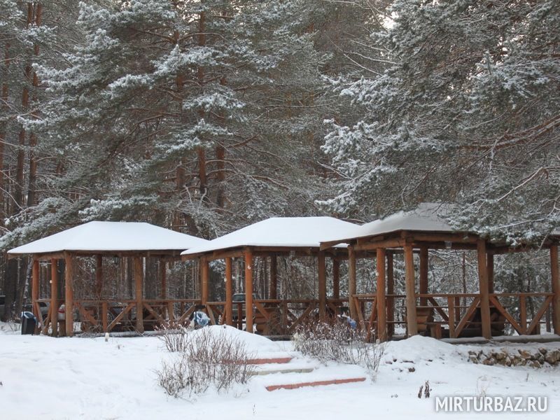 Бальтазар, Рязанская область: фото 2