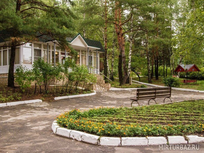 Волна, Рязанская область: фото 4