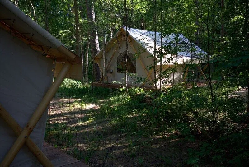 Сова На заливе, Ленинградская область: фото 3