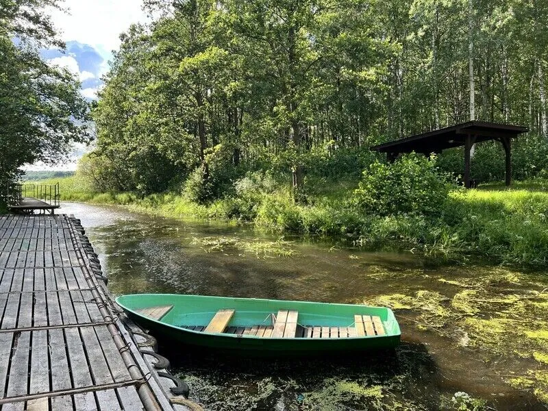 Кот Матроскин, Ленинградская область: фото 4