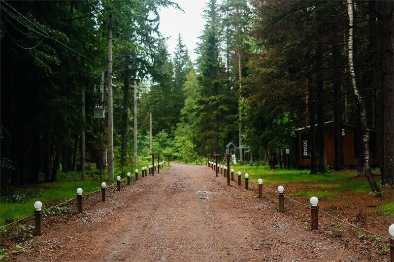 Форелевая ферма, Ленинградская область: фото 3
