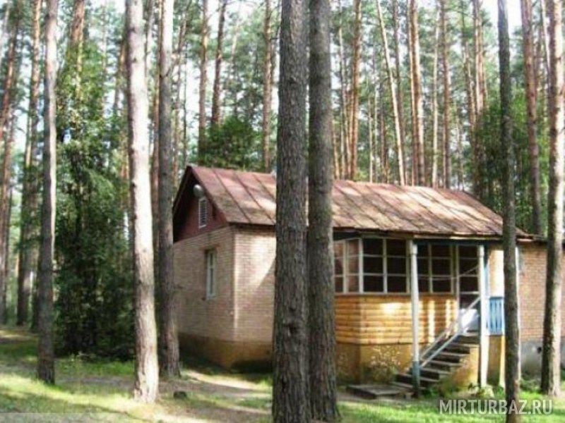 Мещера, Рязанская область: фото 5