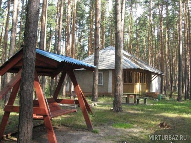 Мещера, Рязанская область: фото 2