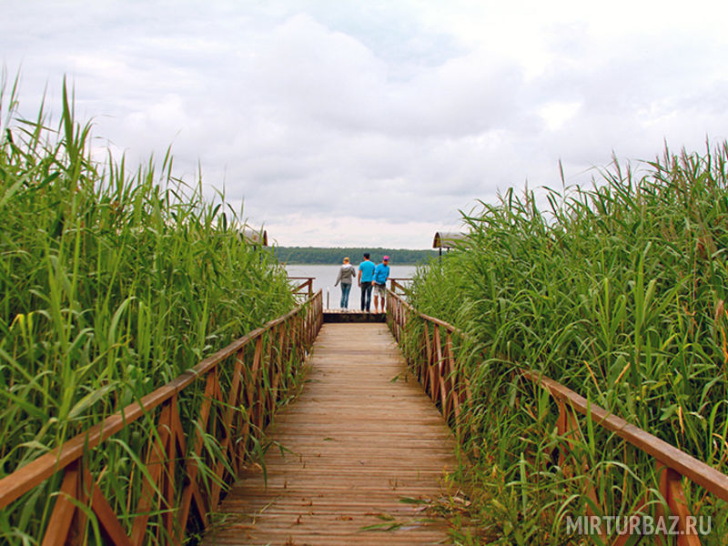 Пудыши, Смоленская область: фото 4