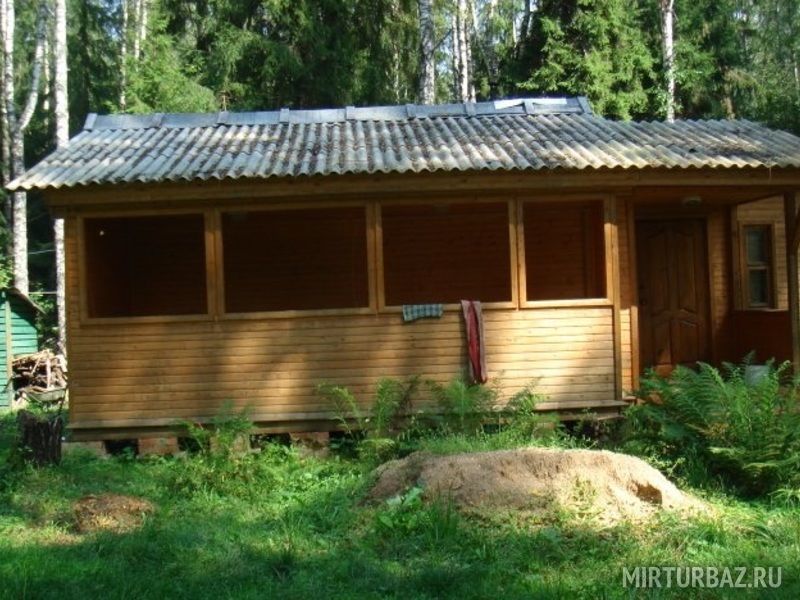 На берегу, Московская область: фото 3