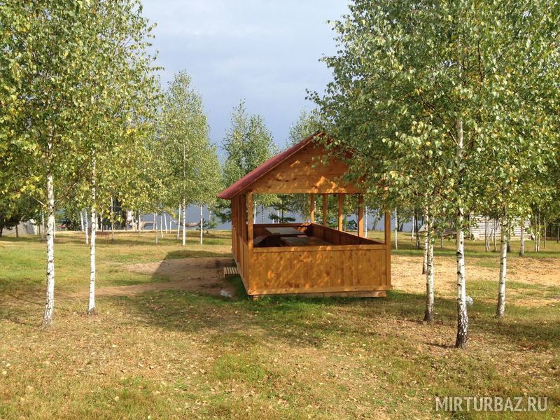 Береста, Смоленская область: фото 4