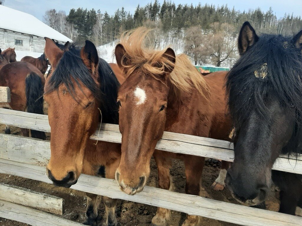 Фото из отзыва от 14.03.2024