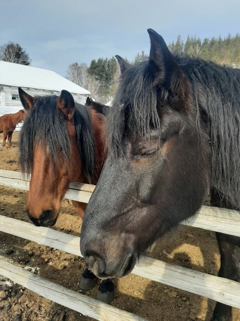 Фото из отзыва от 14.03.2024