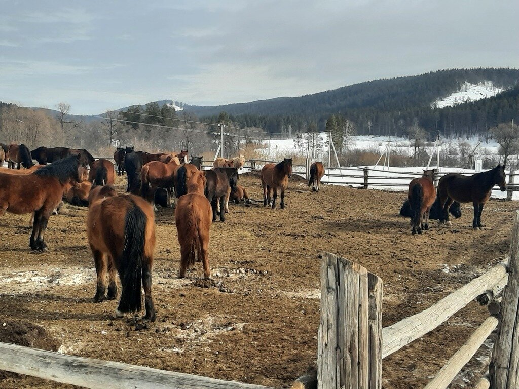 Фото из отзыва от 14.03.2024