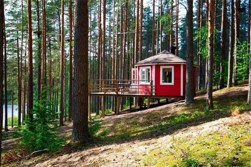 Гринвальд Парк Скандинавия, Ленинградская область: фото 5