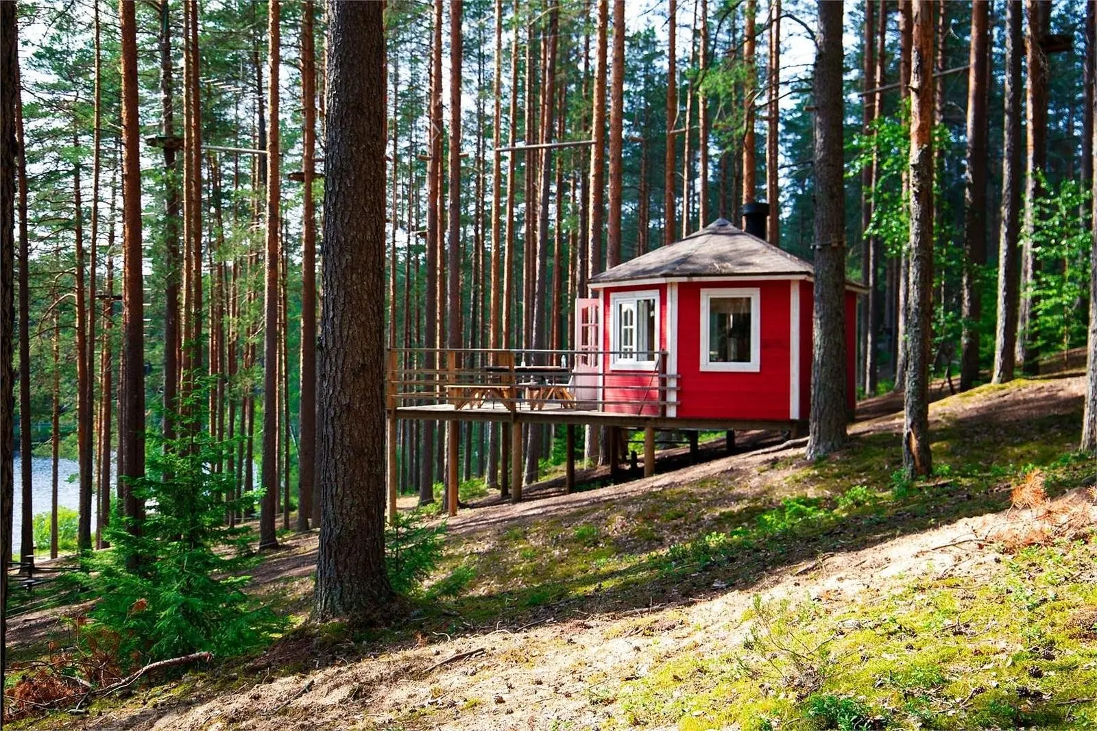 Гринвальд Парк Скандинавия, Ленинградская область: фото 5