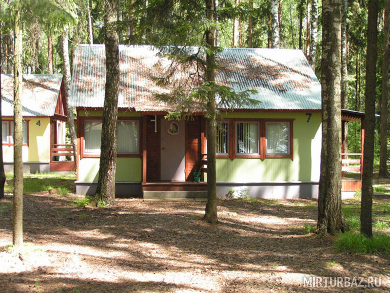 Электрон, Тверская область: фото 3