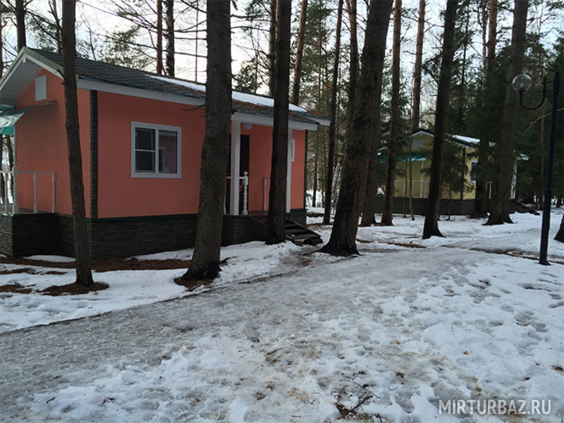 Электрон, Тверская область: фото 4