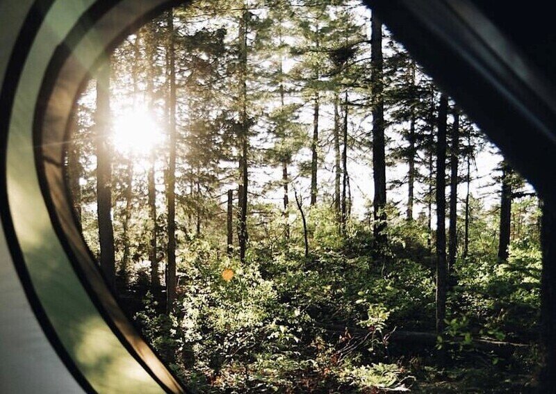 Место под палатку