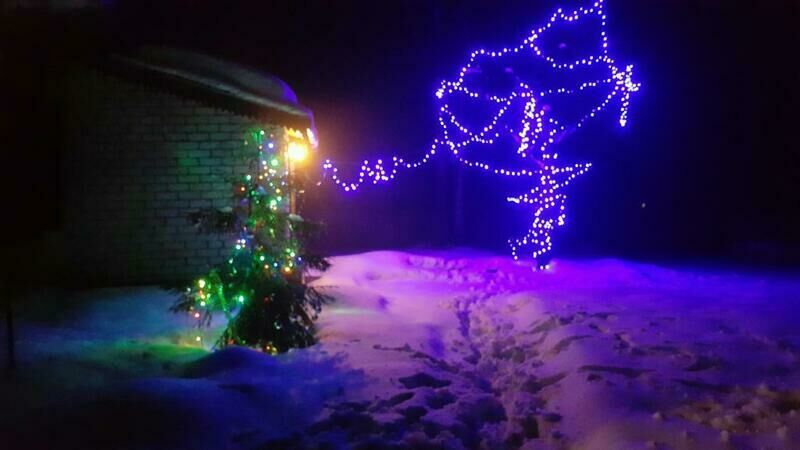 Прудки, Рязанская область: фото 3